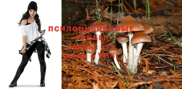 альфа пвп Вяземский
