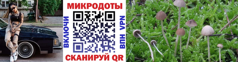 Псилоцибиновые грибы мицелий  Ирбит 